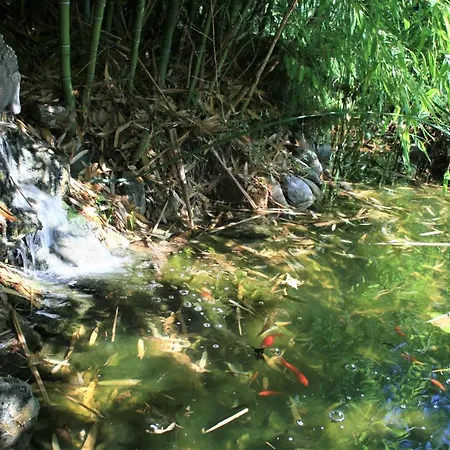 De La Cigale Bleue, Sur Durance Caumont-sur-Durance