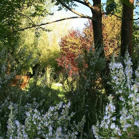 De La Cigale Bleue, Sur Durance Bed & Breakfast Caumont-sur-Durance