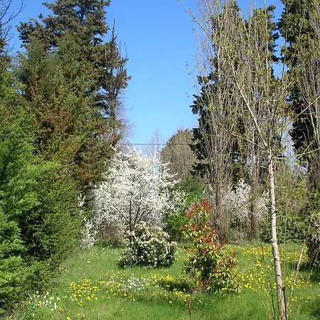 Bed & Breakfast De La Cigale Bleue, Sur Durance
